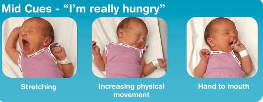 mid baby-feeding-cues.jpeg