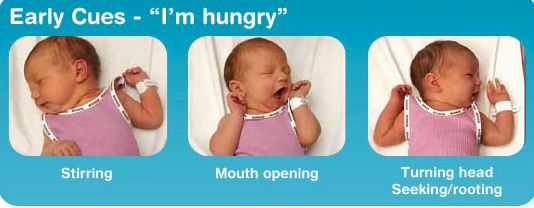 early baby-feeding-cues.jpeg