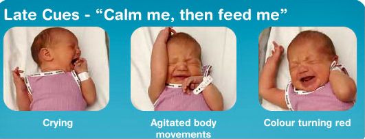 late baby-feeding-cues.jpeg