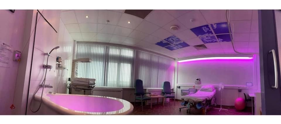 RGH Birth pod 3.jpg