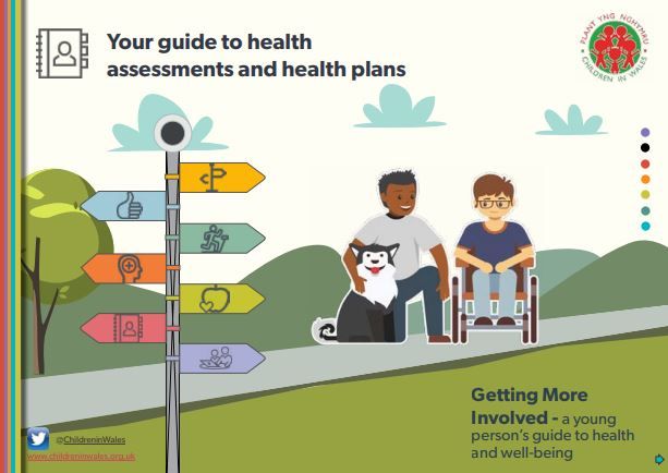 HealthAssessmentCapture.JPG