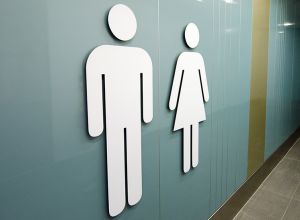 Gender id.jpg